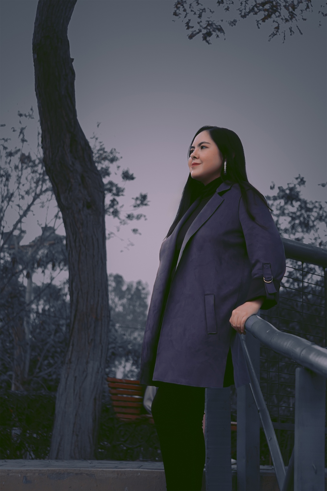 DENISSE